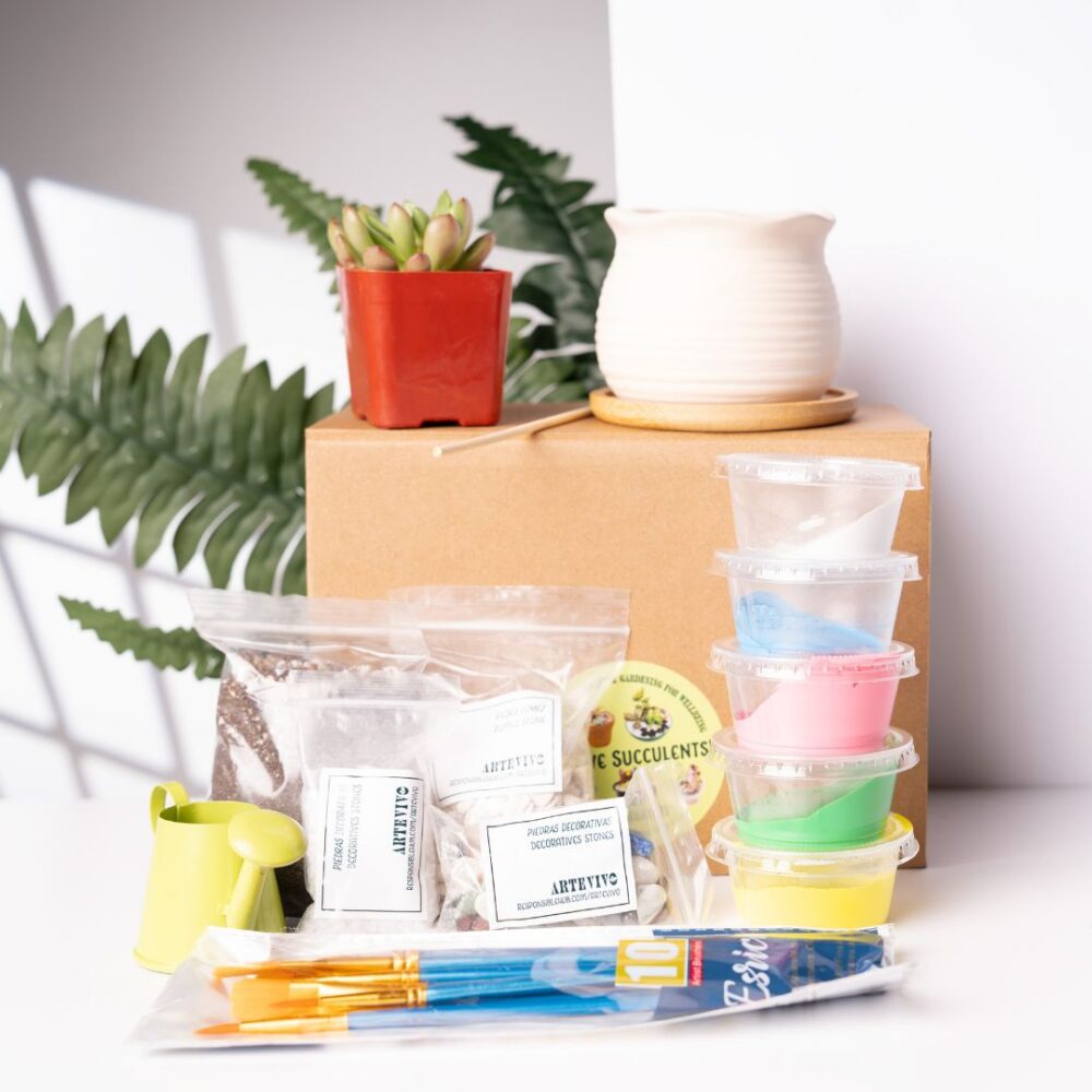 Paint & Plant Kit