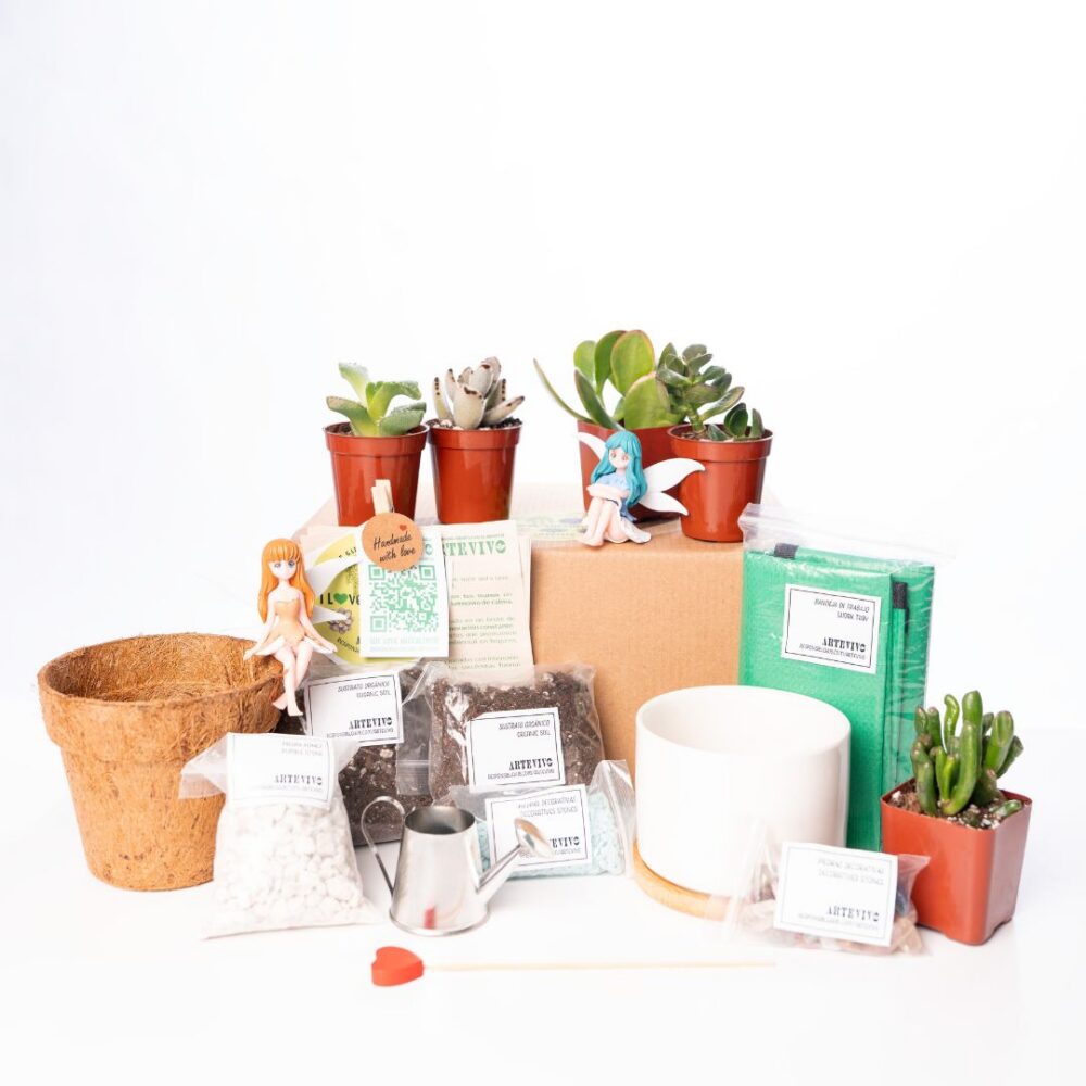 ArteVivo Duo Kit