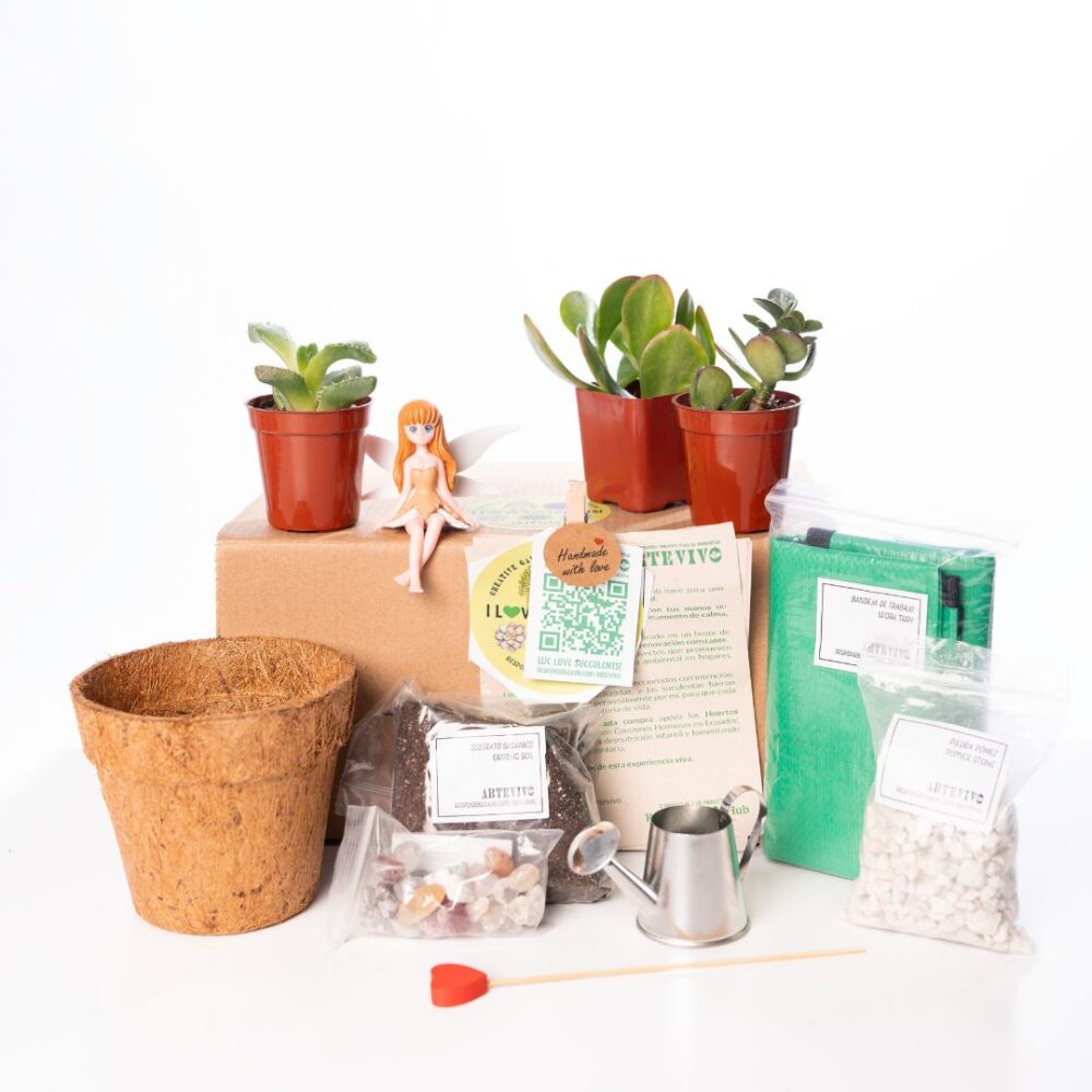 ArteVivo Kit
