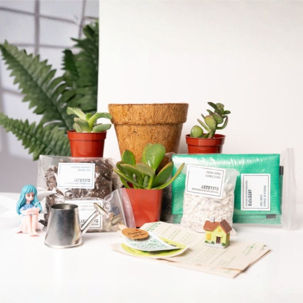 ArteVivo Kit