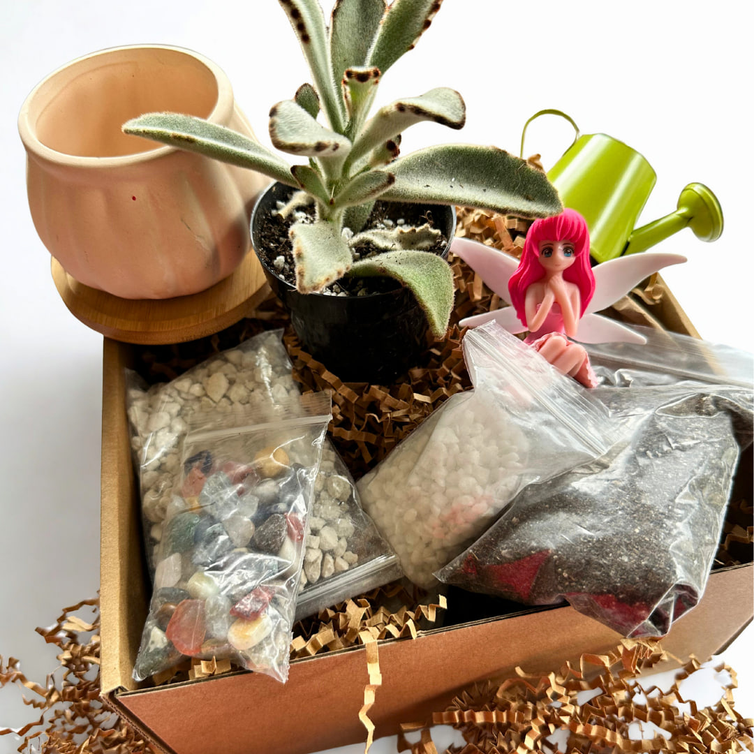 Paint & Plant Kit - Image 4