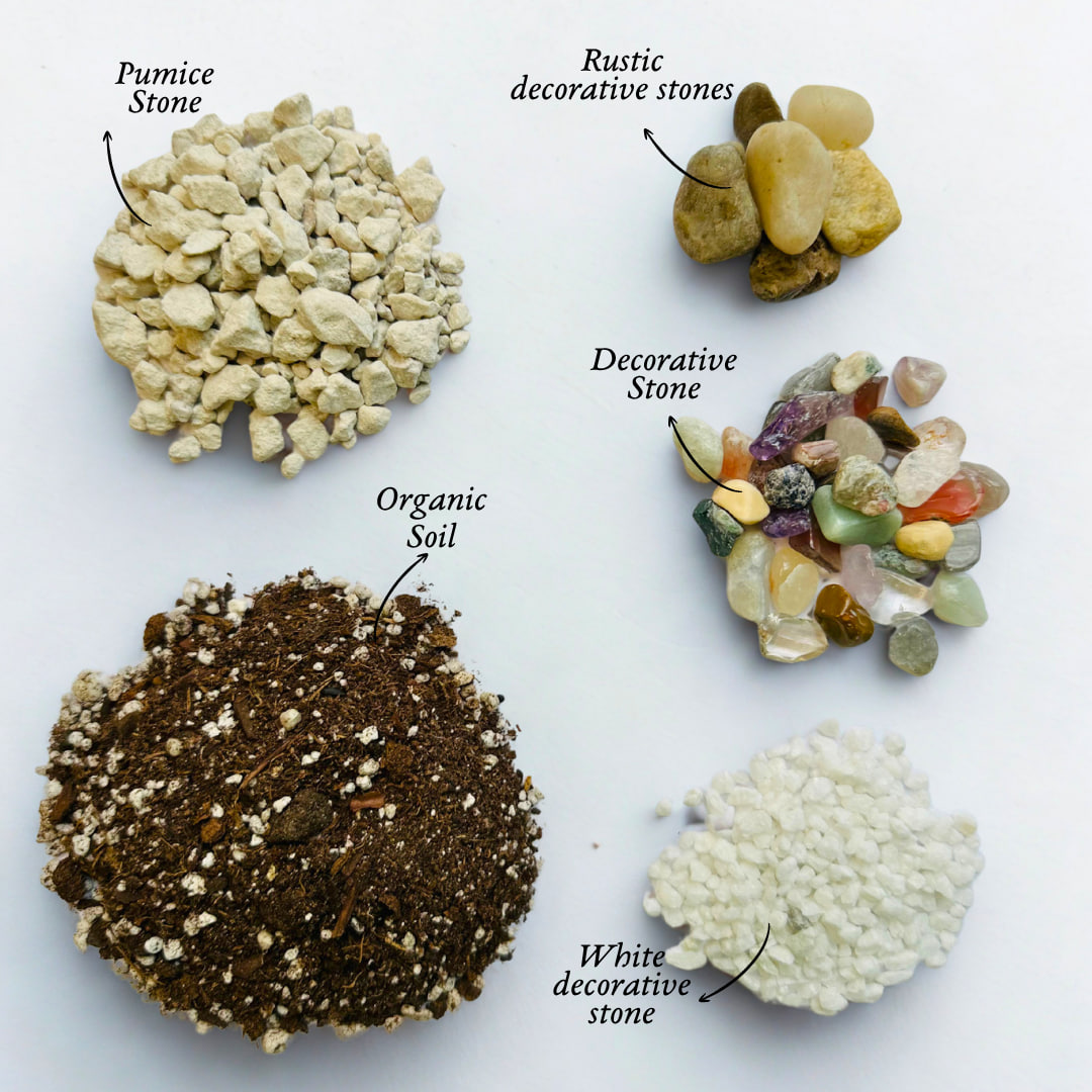 Paint & Plant Kit - Image 7